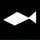 Rocketz62
