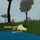 Birds Edit Funs