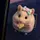 HamstersKecil_1612