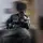 Jay