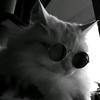 PALMME_-avatar