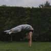 ✨gymnastic_is_life✨️-avatar