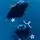 ｡⋆🦈 𝒱𝒶𝓁𝑒𝓇𝓎 🦈⋆｡