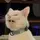 🤫MewMore🧏🏼⚤𝐒𝐢𝐧𝐠𝐥𝐞