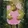 Shreck 