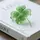 𝒩🍀