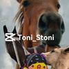 Toni_Stoni-avatar