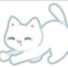 Miya-avatar
