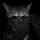 Meow•Edit
