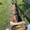your_local_cowgirl-avatar