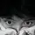 Daycry