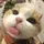 @i'm