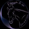 Odyssée & cie 🐴-avatar