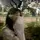 Laviva'★