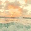 galacticseal 🦨🏝️⋆˚⟡-avatar