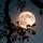 The moon🌙