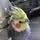 A birdie named mimi
