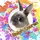 ネザーランドのラルフくん