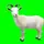Greenscreengoat