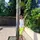 Petit Copain
