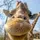 Jst.Another.Giraffe
