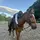 🌟🐴sav+fig.eq✝️💐