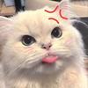 ฝ๊ะฝนไง♡-avatar