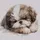 [LE] romyter_here
