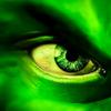 greenCDscreen-avatar