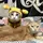 かずみん435