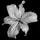 byz7.livephotos