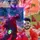 qazi_official323