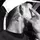 Henrike_tr7