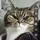 Meow