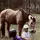that_horseperson