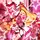 ★Fandom_Girl★