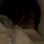 kriy template[LDR]