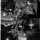 gray_stars_CapCut