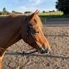 ⭐️Eq Addie⭐️-avatar