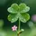 𝓗𝓮𝓻𝓪🍀