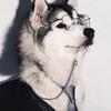 ☽✾☆R€MY_ØN_PÄŴZZ ☽✾☆-avatar