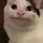 cioww (⁠◕⁠ᴗ⁠◕⁠✿⁠)