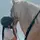 qnhorses