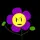 purple flower