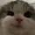 ㅋ