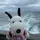 bubbleyies[SA]🎟️