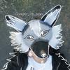 ★Groupix_on_paws★╺⃝⃤-avatar
