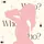 ѕнєℓℓ⋆ ˚｡⋆୨୧˚