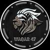 Waqar 47-avatar