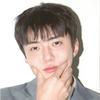 Vivinisehun-avatar